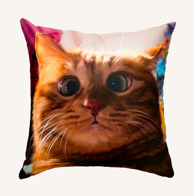 Customized Pet Pillow