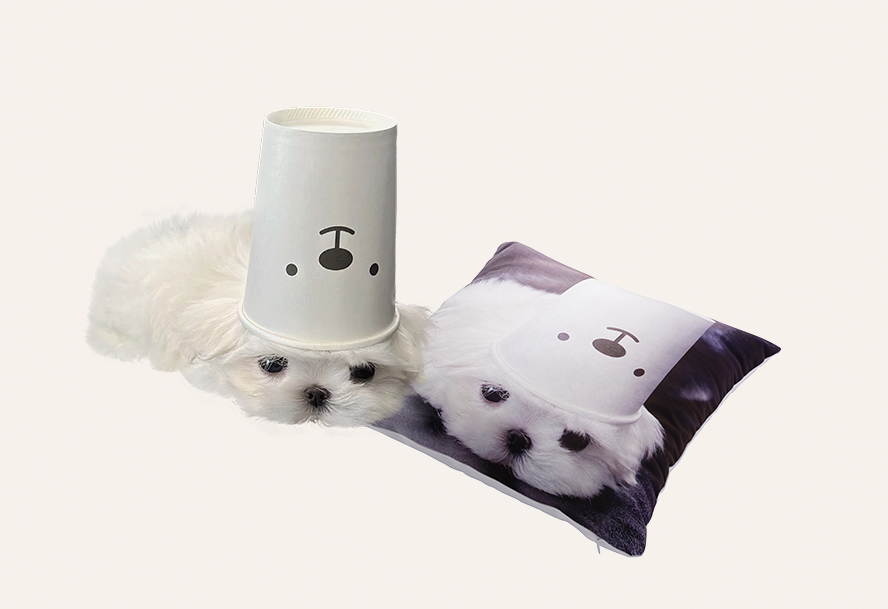 Customized Pet Pillow